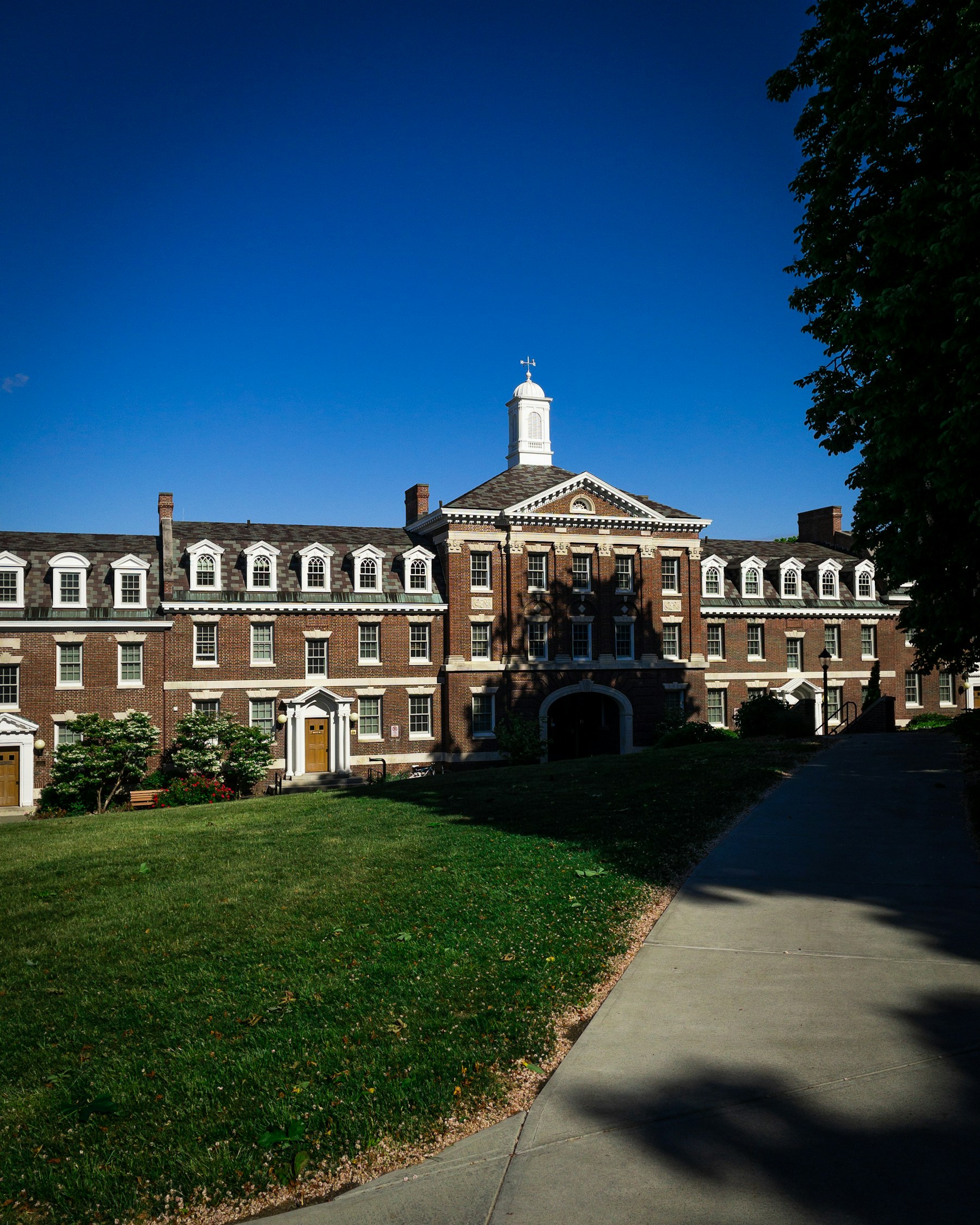 An open green university campus, illustrating a global education setting